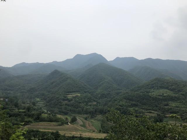 己亥日有什么说法，后日入中伏老人说