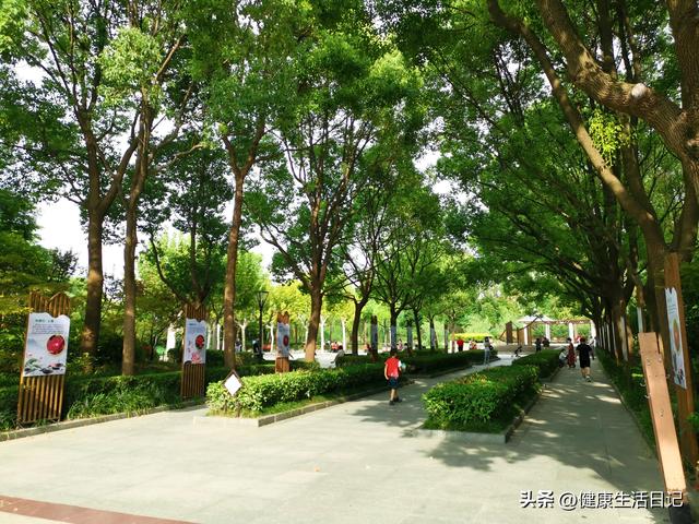 上海最值得徒步的路线，徒步上海普陀区甘泉公园