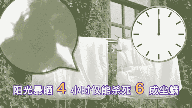 螨虫最怕的土办法，家里老人小孩老过敏