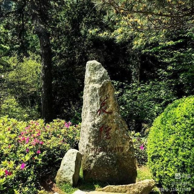 江西庐山旅游一日游，南昌到庐山一日游