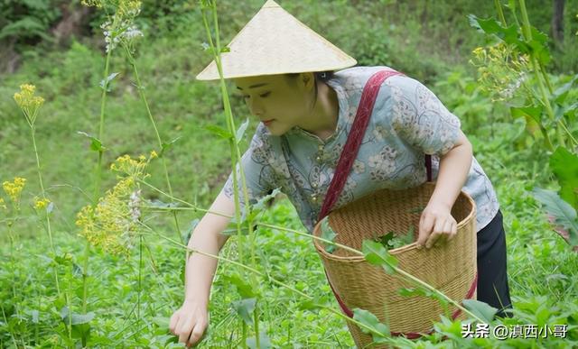 薄荷香料的做法大全，带你认识40款香料及各种底料炖料配方