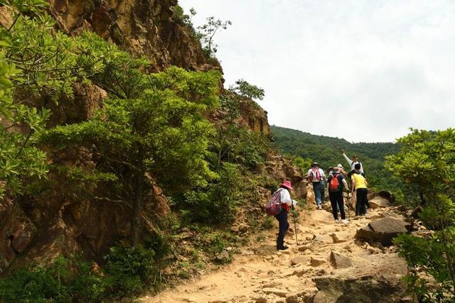 关于深圳梧桐山简介，深圳之巅——梧桐山