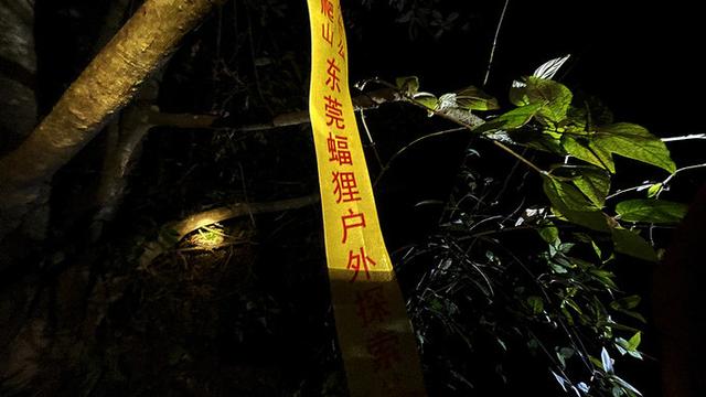广州徒步登山经典路线，​黄埔秘境在这里
