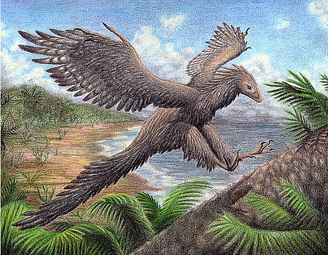 八大最强恐龙，十大著名的恐龙