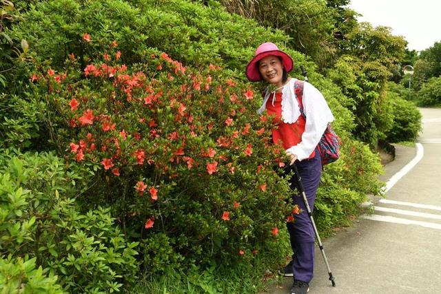 关于深圳梧桐山简介，深圳之巅——梧桐山