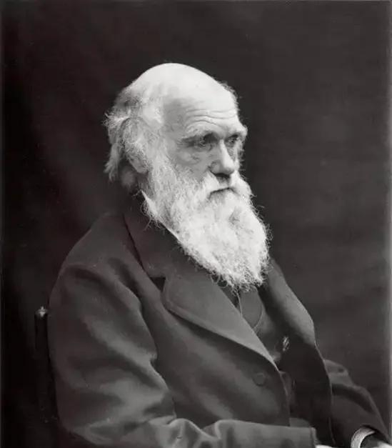 达尔文小时候的故事，达尔文小时候的故事有哪些