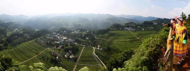 泸州最适合旅游的地方，泸州春游去哪里