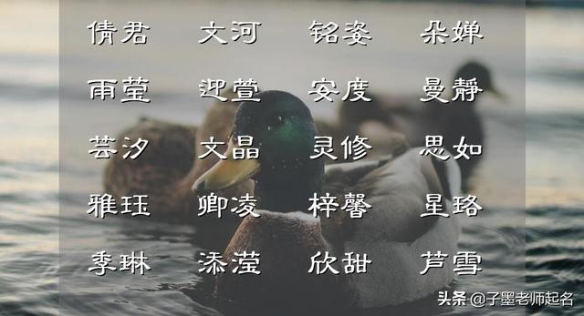 女孩名字优雅大气，女孩取名优雅大气有内涵的名字（恬静淡雅的女孩名字）