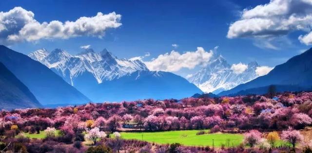 2022年林芝桃花节什么时候开始，2022年林芝桃花节3月23日开幕