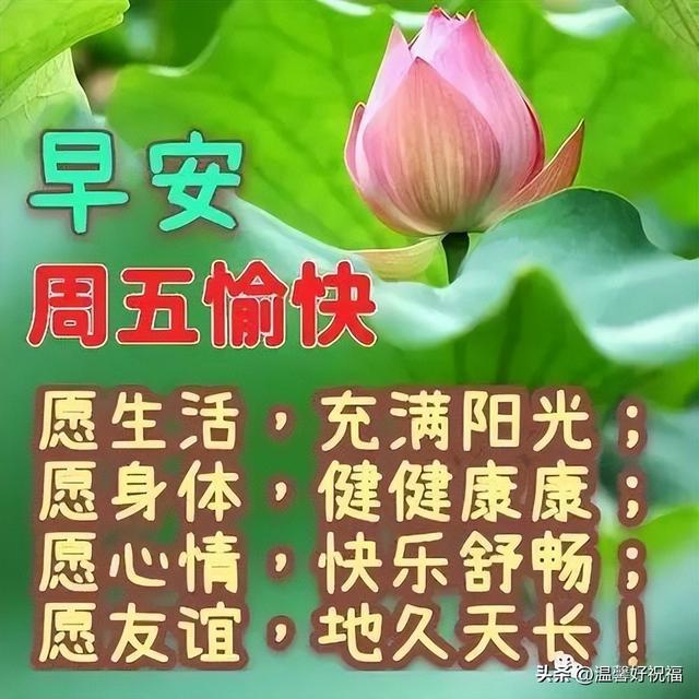 早上好带文字小表情图，星期五最新早上好表情大全
