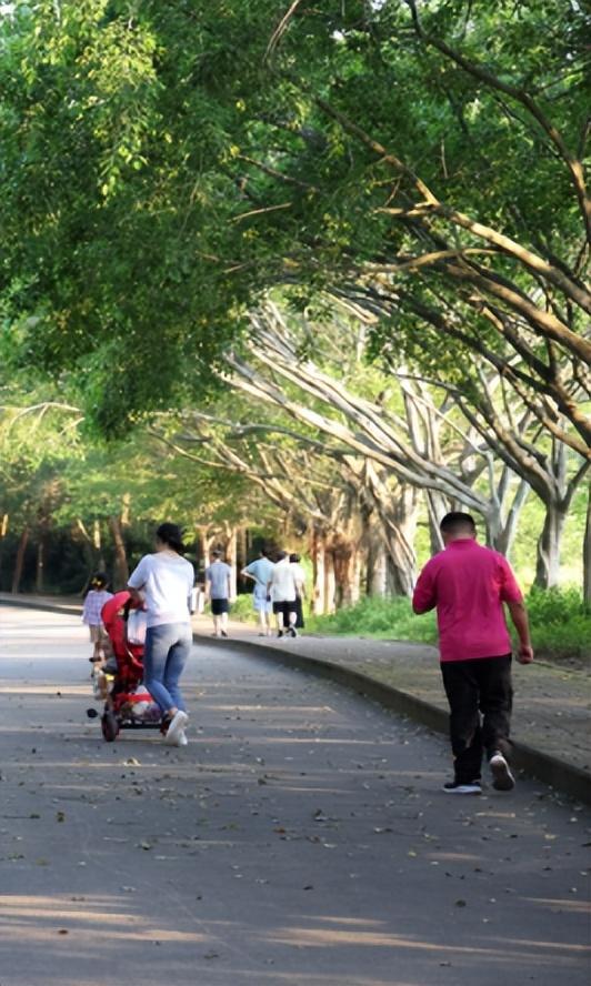 广州绿道田园景点，博罗这些高颜值绿道等你来打卡