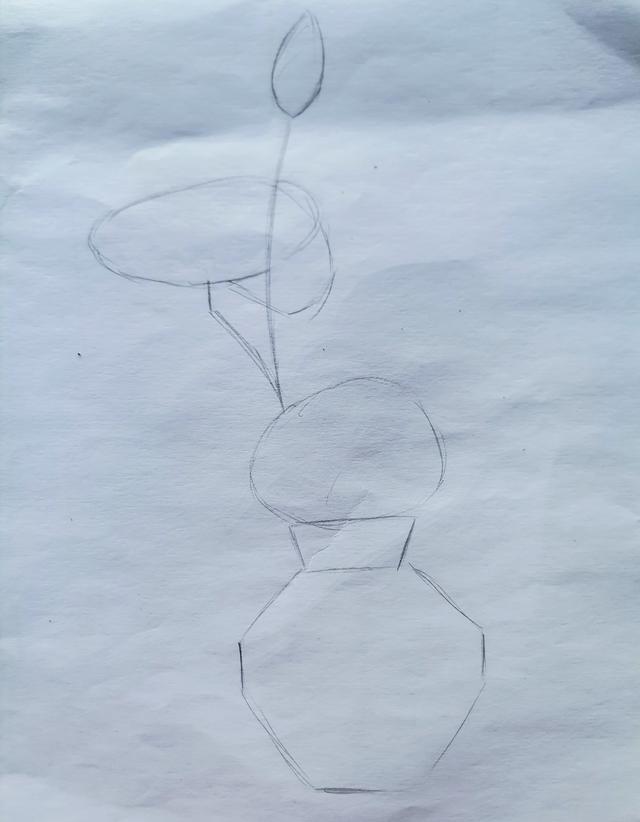 速写入门基础画花卉，7步通俗易懂的速写画画入门教程