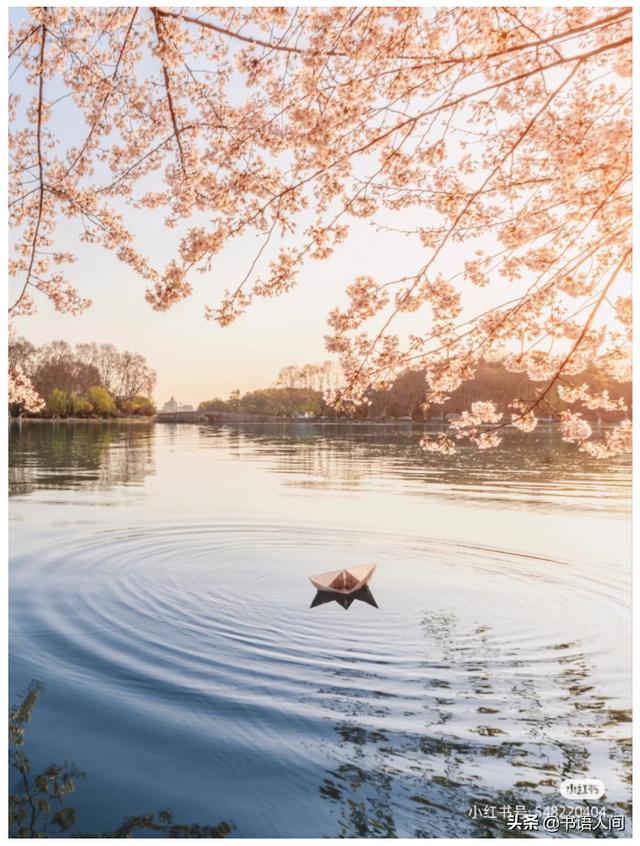 杭州西湖旅游攻略，杭州西湖攻略一日游最佳路线（<杭州西湖轻松一日游攻略>）