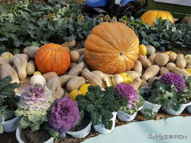 开封必游景区，这八处经典必去的地方