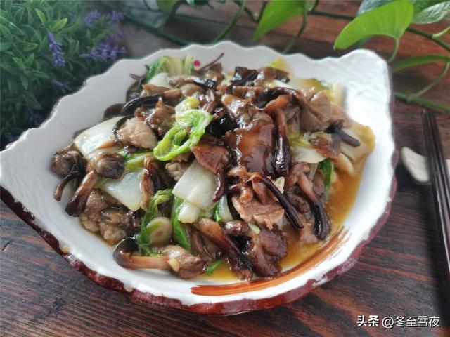 五种美味的野生蘑菇，这第1种被称为菌中之王