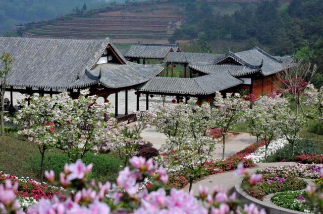 成都周边花海一日游，成都出发1h赏千亩梨花