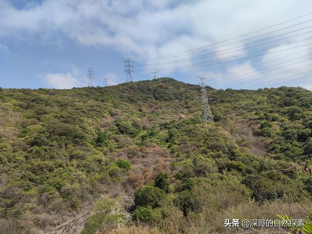 深圳不起眼的山峰，深圳这十座不知名山峰