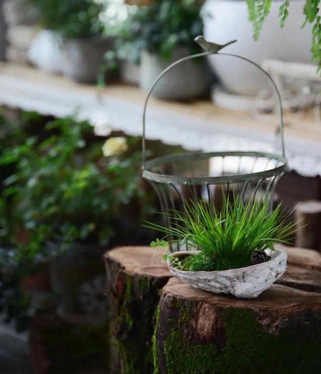 法式花园如何欣赏，海妈花园访问阳台花园满分案例