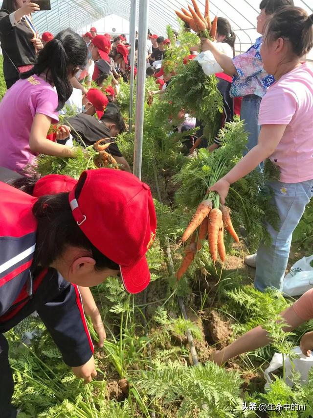 开封必游景区，这八处经典必去的地方