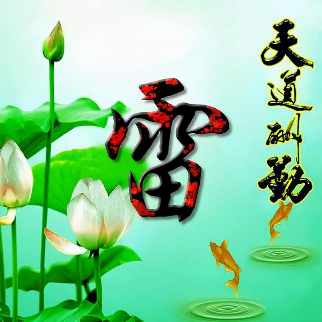 荷花头像图片大全，荷花头像高清图