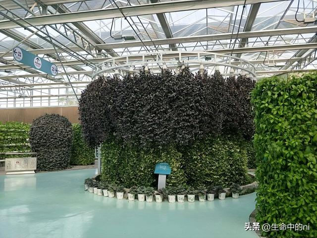 开封必游景区，这八处经典必去的地方