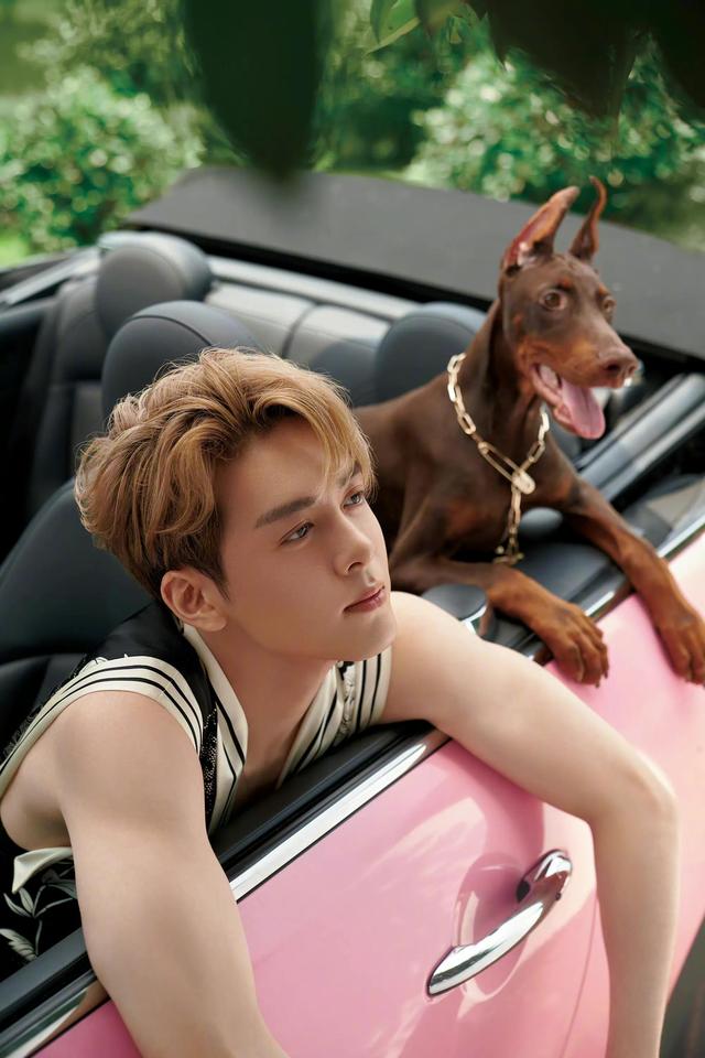 曾舜晞喜欢什么样的女朋友，曾舜晞逆袭之路