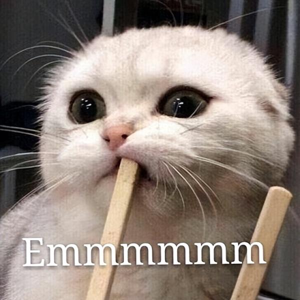 猫不能吃什么东西，猫咪不能吃这5种（猫咪不能吃的10种东西）