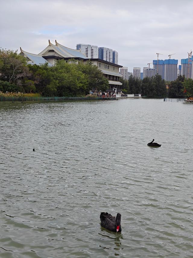 厦门亲子游免费游玩的地方，厦门八个宝藏遛娃地