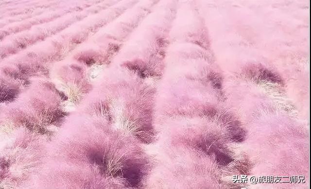 佛山自由行三日游攻略，游玩住宿攻略看这篇就够了