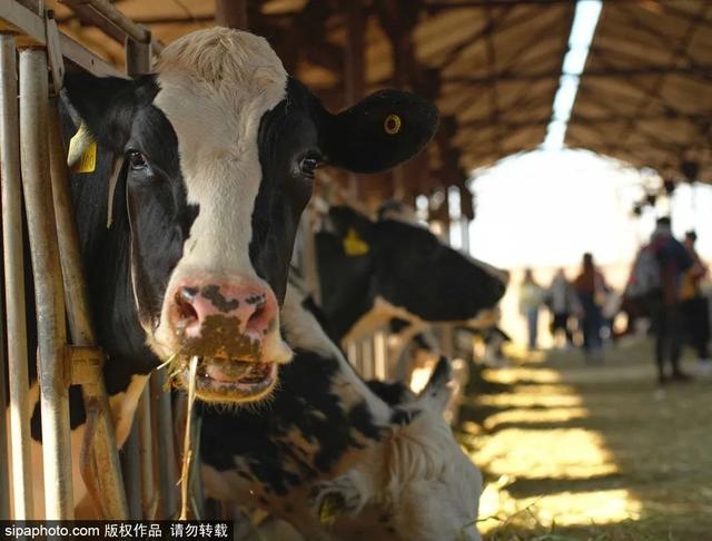 北京带孩子玩的地方推荐，北京小宝宝周末遛娃必备好去处（带娃去京郊这4个天然氧吧游山戏水~）