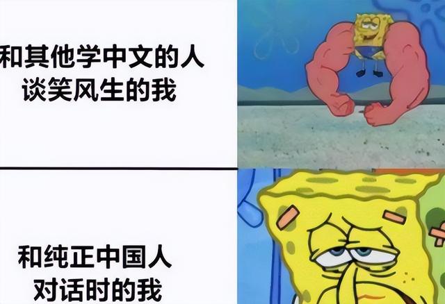 汉语难学为什么老外说汉语那么好，“梗图”用得恰到好处