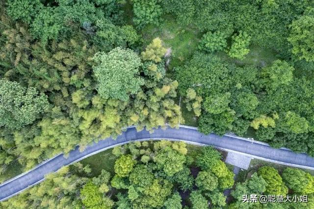 贵州的风景真美，贵州无惧春夏秋冬