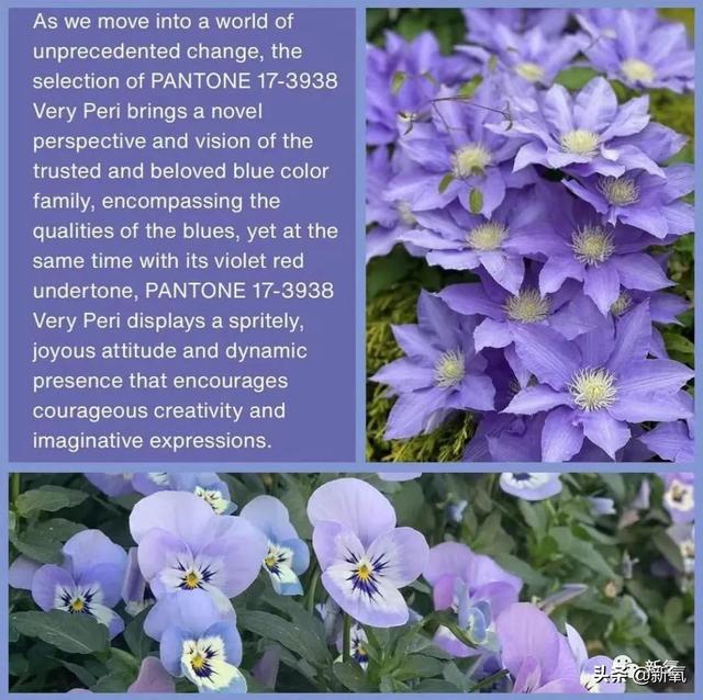 宝石蓝最流行色，年度流行色来了