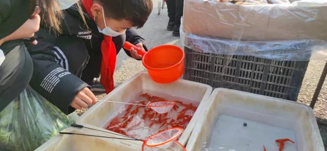 年货大集门头，年货大集一网打尽