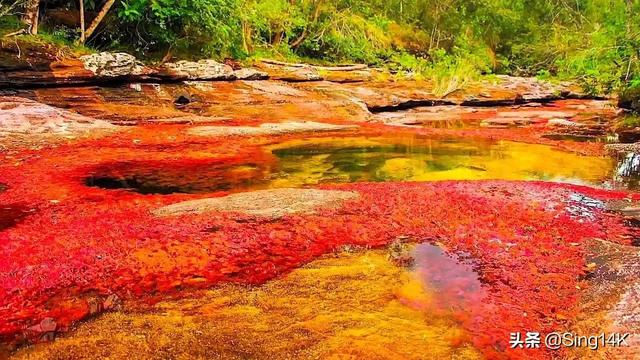 地球上最奇特的地方简单介绍，地球上有哪些奇妙的地方呢