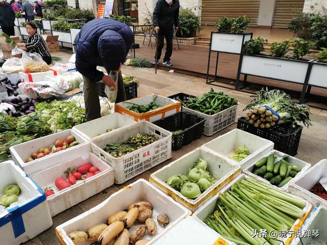 海南高物价原因分析，1瓶为啥能便宜大几百