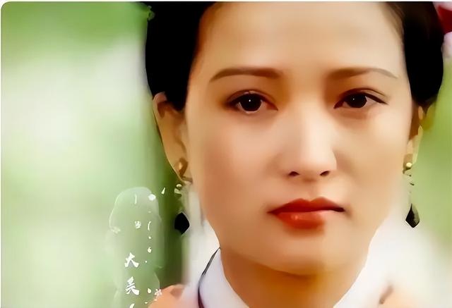 何晴演过的电视剧，何晴经典角色（“古典美人之最”何晴的14部剧）