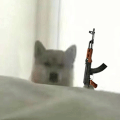 可爱小狗表情包，可爱表情包大全狗子