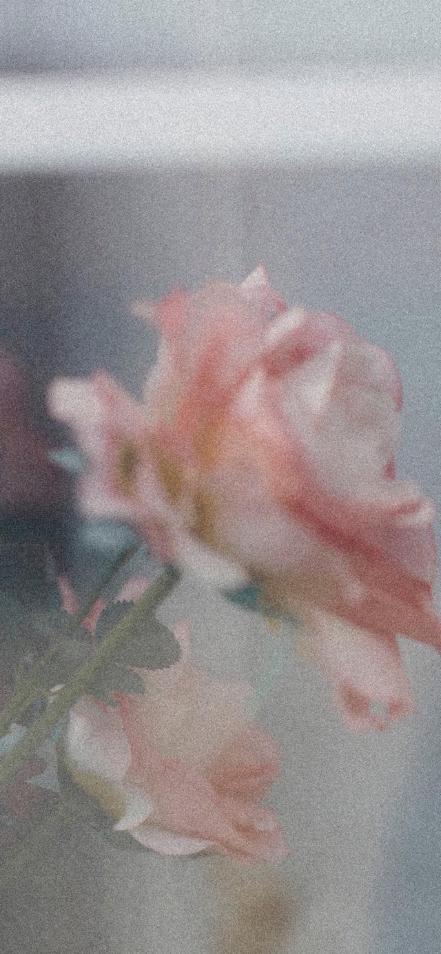 好看的聊天背景图片，好看的微信聊天背景图简单（渐变色系聊天背景壁纸）