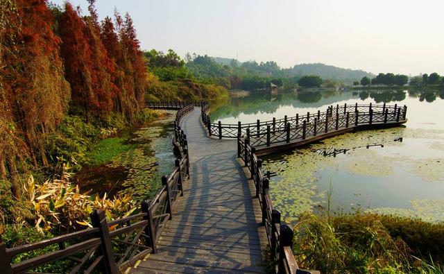 海珠湖大夫山旅游攻略，今天攻略给大家推荐一些广州登山好去处