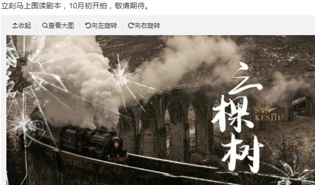 任嘉伦赵丽颖电视剧，任嘉伦和赵丽颖最新电视剧（赵丽颖任嘉伦主演《三棵树》）