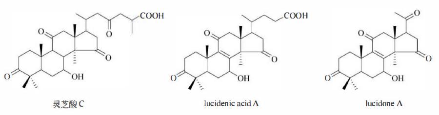 萜类的作用及功能，植物功效成分-三萜及其苷类