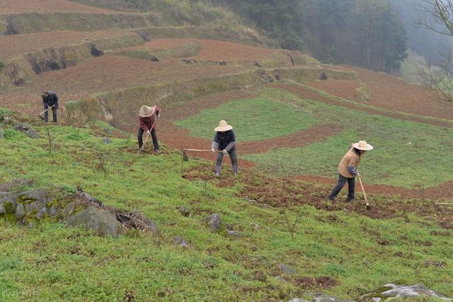 波士顿动力机进化，波士顿动力机器狗再进化