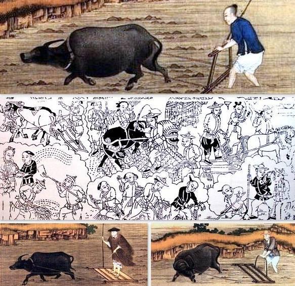 九九歌从哪天开始算起的，九九歌趣闻多多