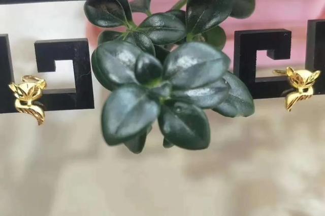 耳线的戴法（耳钉耳坠耳环耳线怎么戴）