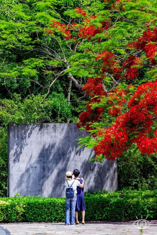 附近看花的地方，深圳最适合去赏花的地方（2023西安及周边赏樱花的地点大全）