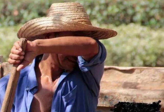 二十大三农是什么意思，什么是三农