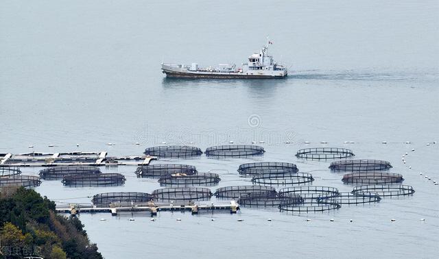 世界农业第一强国，世界十大最顶尖的农业