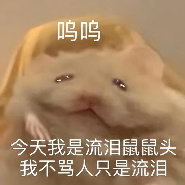 小仓鼠动态迷你表情包，变形脸仓鼠可爱老鼠