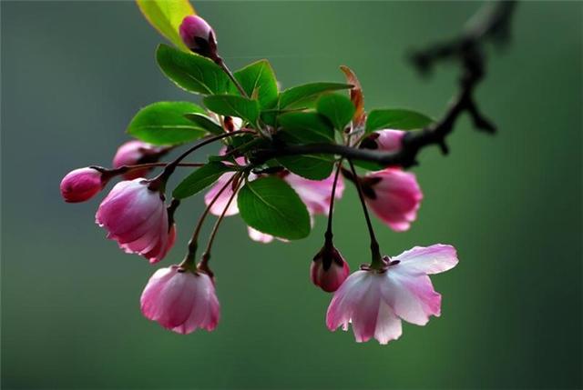 飞花令里读诗词，飞花令诗词大全（飞花令里读诗词）